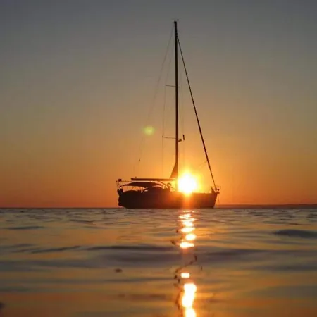 Beguiling In Near Renato Boat Excursions *