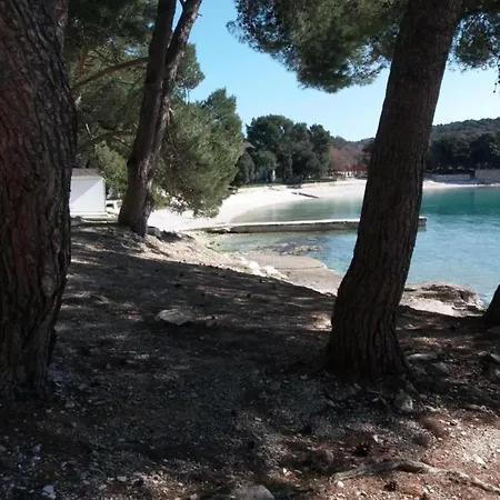 Beguiling In Near Renato Boat Excursions Banjole