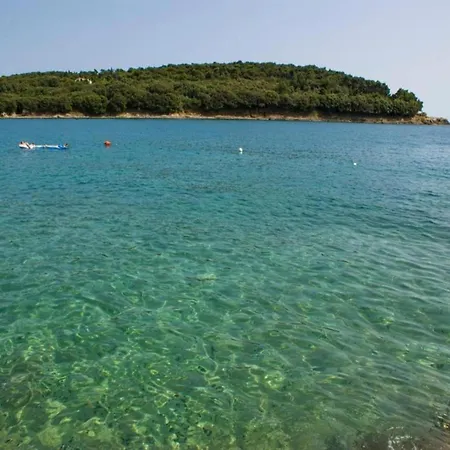 Apartment Beguiling In Near Renato Boat Excursions Banjole