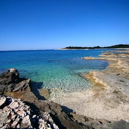 Beguiling In Near Renato Boat Excursions *